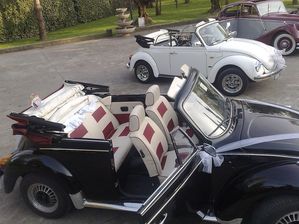 noleggio con conducente  auto per matrimonio padova