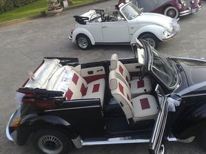 noleggio con conducente  auto per matrimonio padova