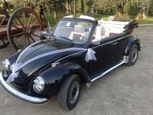 noleggio con conducente  auto per matrimonio padova