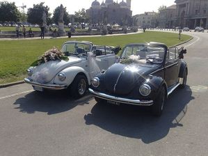 noleggio con conducente  auto per matrimonio padova