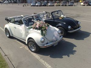 noleggio con conducente  auto per matrimonio padova