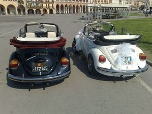 noleggio con conducente  auto per matrimonio padova