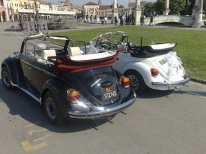 noleggio con conducente  auto per matrimonio padova