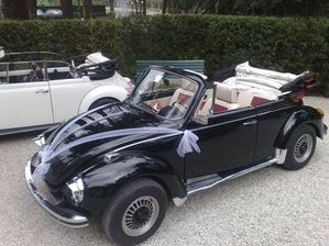 noleggio con conducente  auto per matrimonio padova