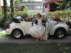 noleggio con conducente  auto per matrimonio padova